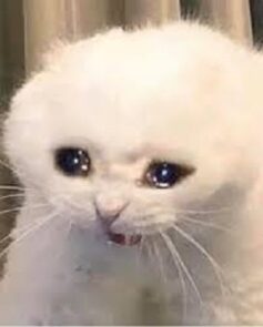 İrem Beykoz (benyazuyoom) İrem Beykoz (benyazuyoom)