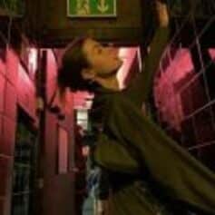 Evsizsarapci Evsizsarapci