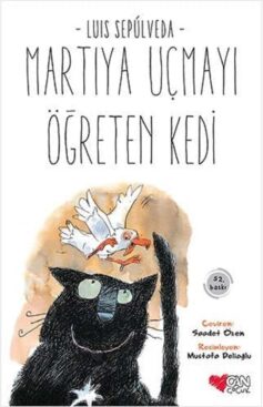 Martıya Uçmayı Öğreten Kedi